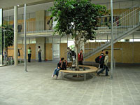 "Die Sterntaler", 2004 "Die Sterntaler", 2004